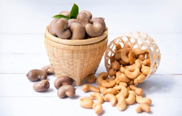 sữa hạt điều