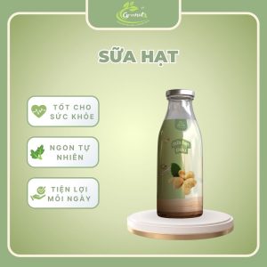 sữa hạt điều greenut