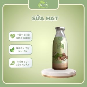 sữa hạt macca
