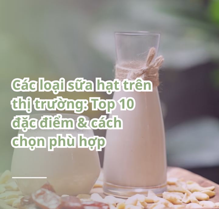 các loại sữa hạt trên thị trường