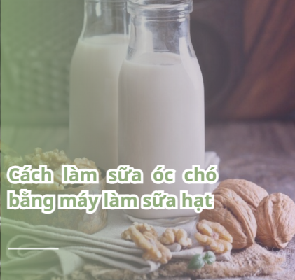 Cách làm sữa óc chó