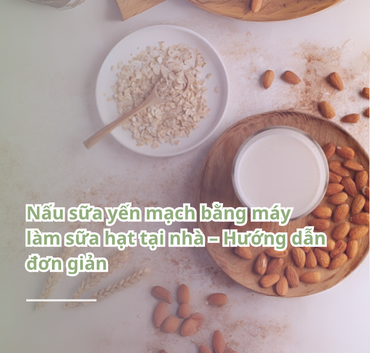 Nấu sữa yến mạch bằng máy làm sữa hạt