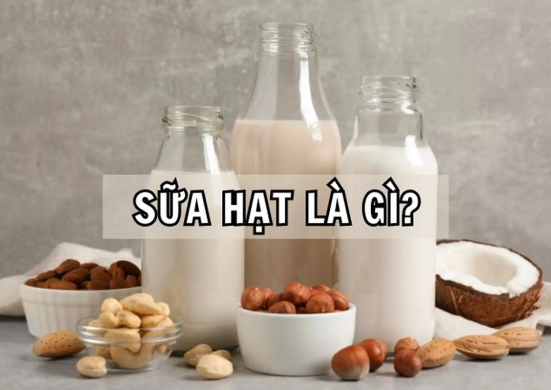 các loại sữa hạt trên thị trường