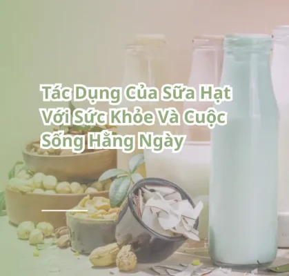 tác dụng của sữa hạt