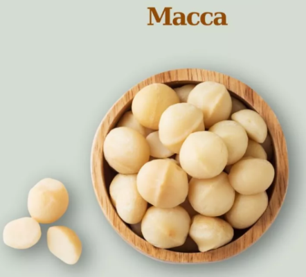 Hạt macca