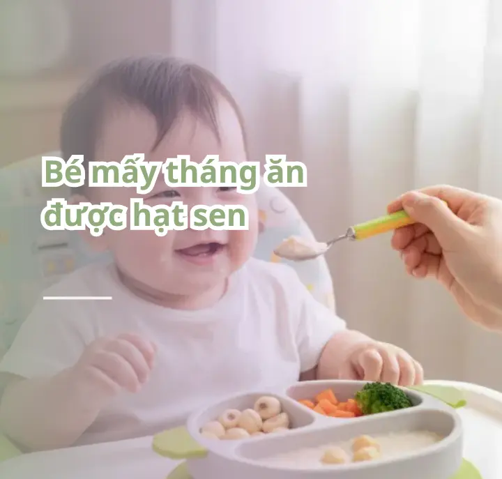 bé mấy tháng ăn được hạt sen