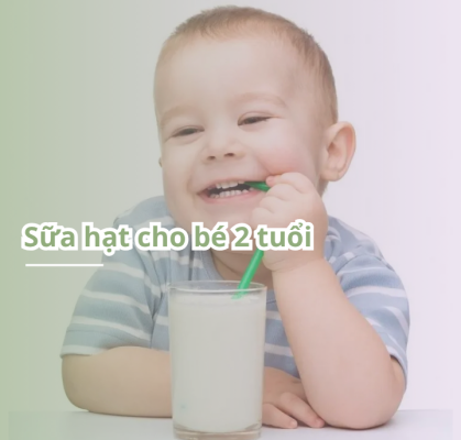 Sữa hạt cho bé 2 tuổi: ích, cách làm và lưu ý cha mẹ cần biết