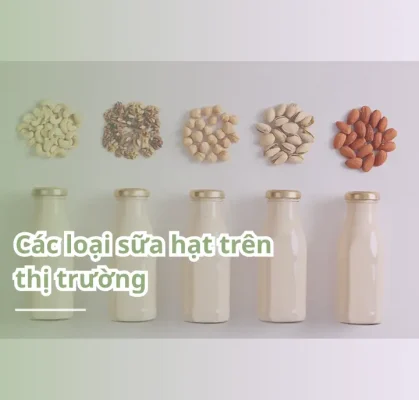 Các loại sữa hạt trên thị trường