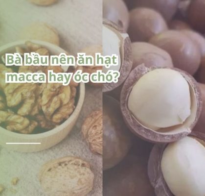 Bà bầu nên ăn hạt macca hay hạt óc chó