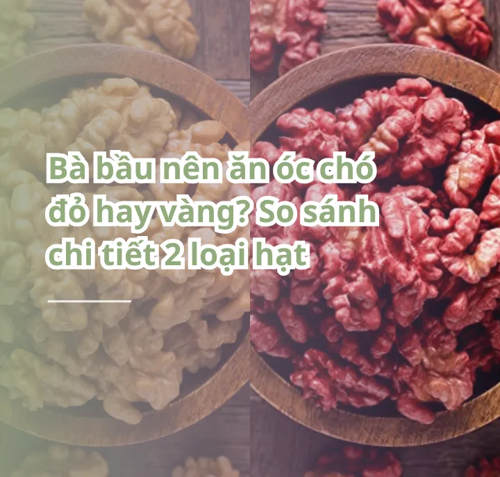 bà bầu nên ăn óc chó đỏ hay vàng